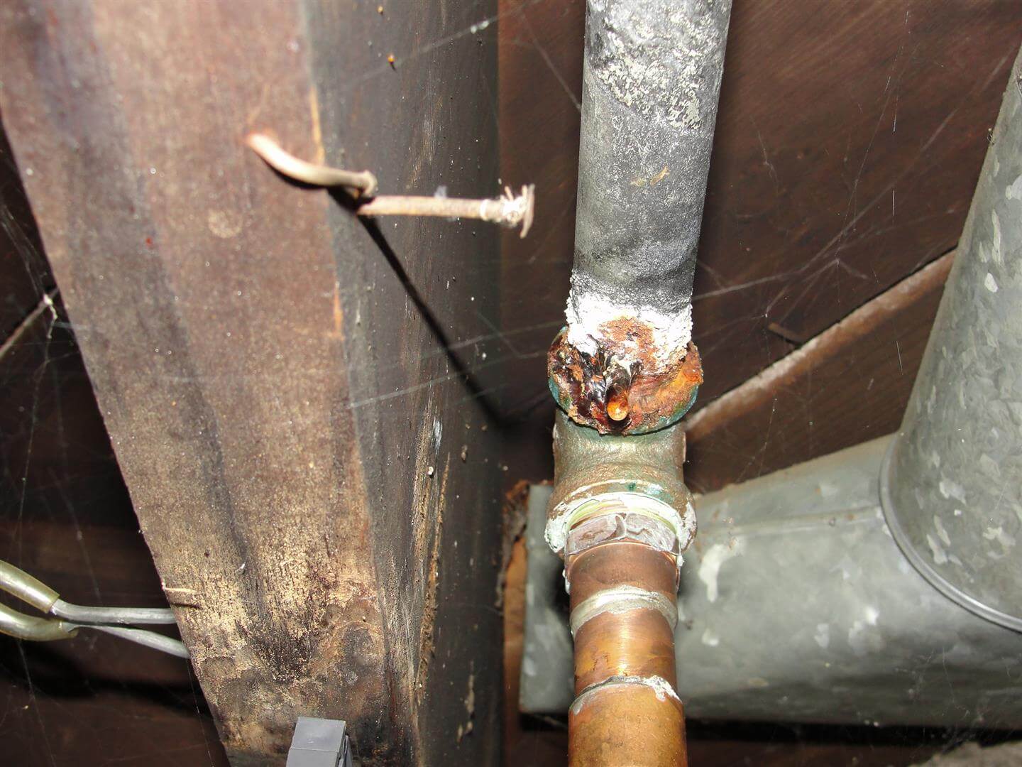 Leaking galvanized | Is it Time For New Pipes?